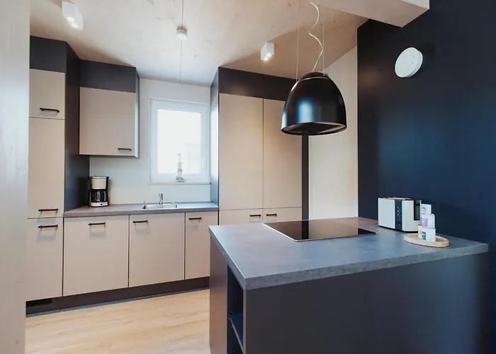 Hébergement de vacances Skandinavisch Eingerichtetes Doppelhaus In